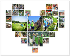 廣州樂(lè)進(jìn)拓展官網(wǎng)正式上線！