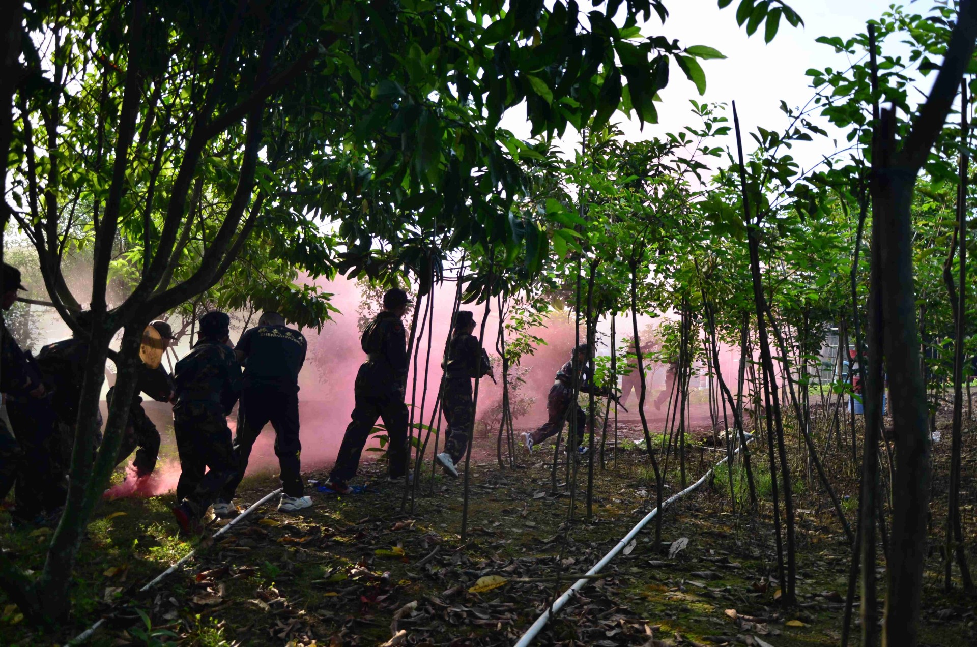 夏令營(yíng)新體驗(yàn)：活動(dòng)豐富多樣