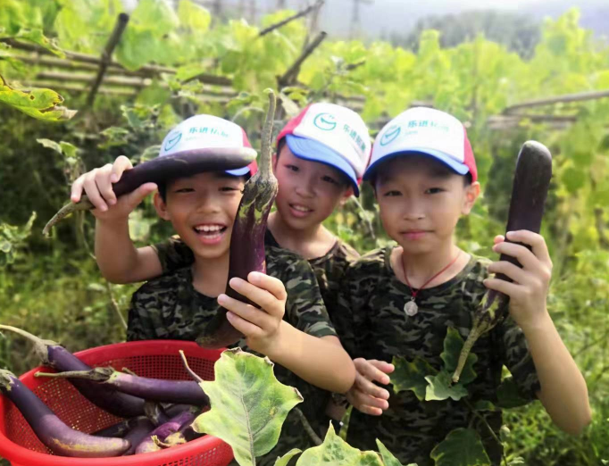 體驗(yàn)農(nóng)村生活3